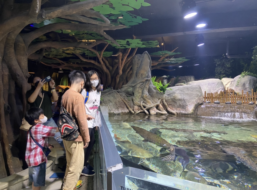 Jakarta Aquarium Safari